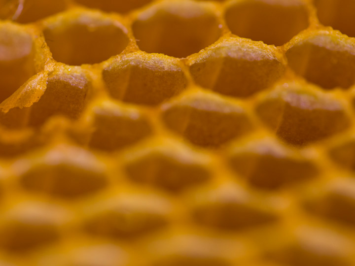 Bees wax